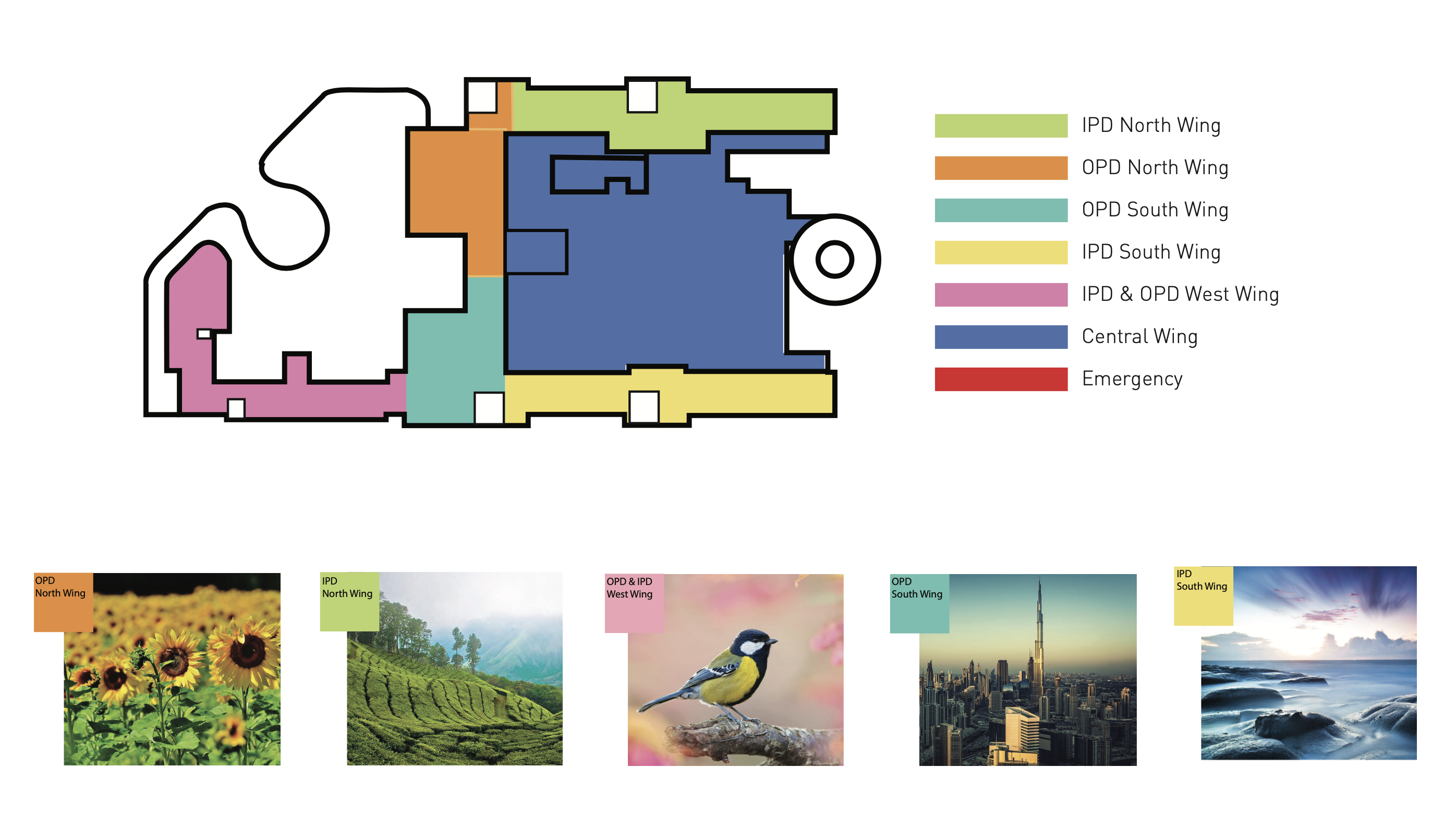 Colour coding & visual strategy