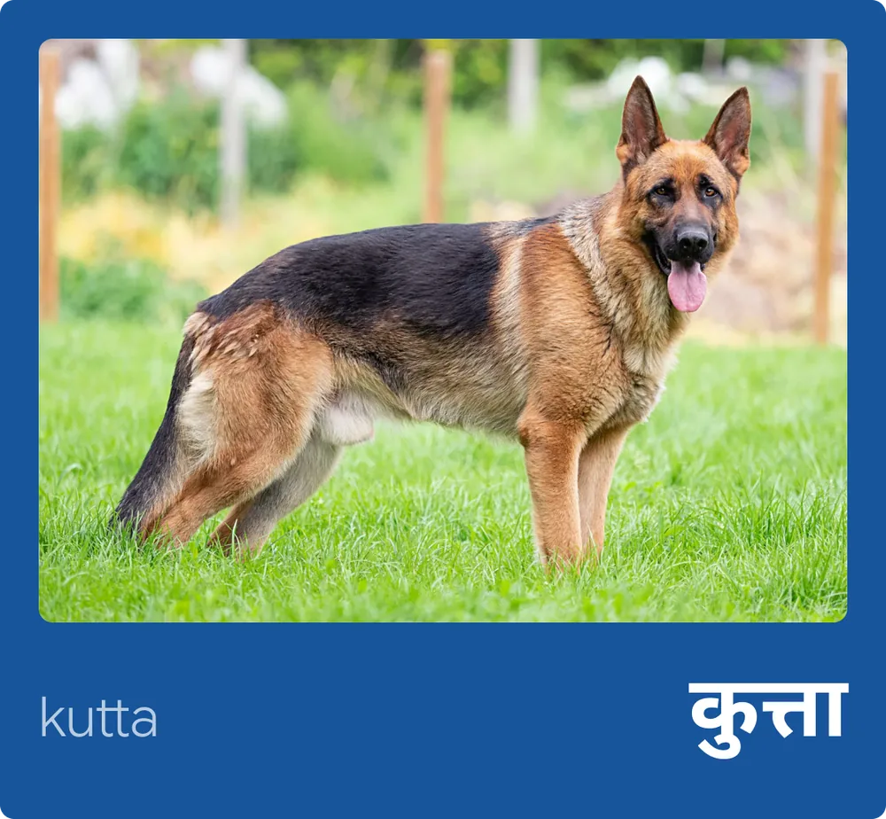 Dog (Hindi)
