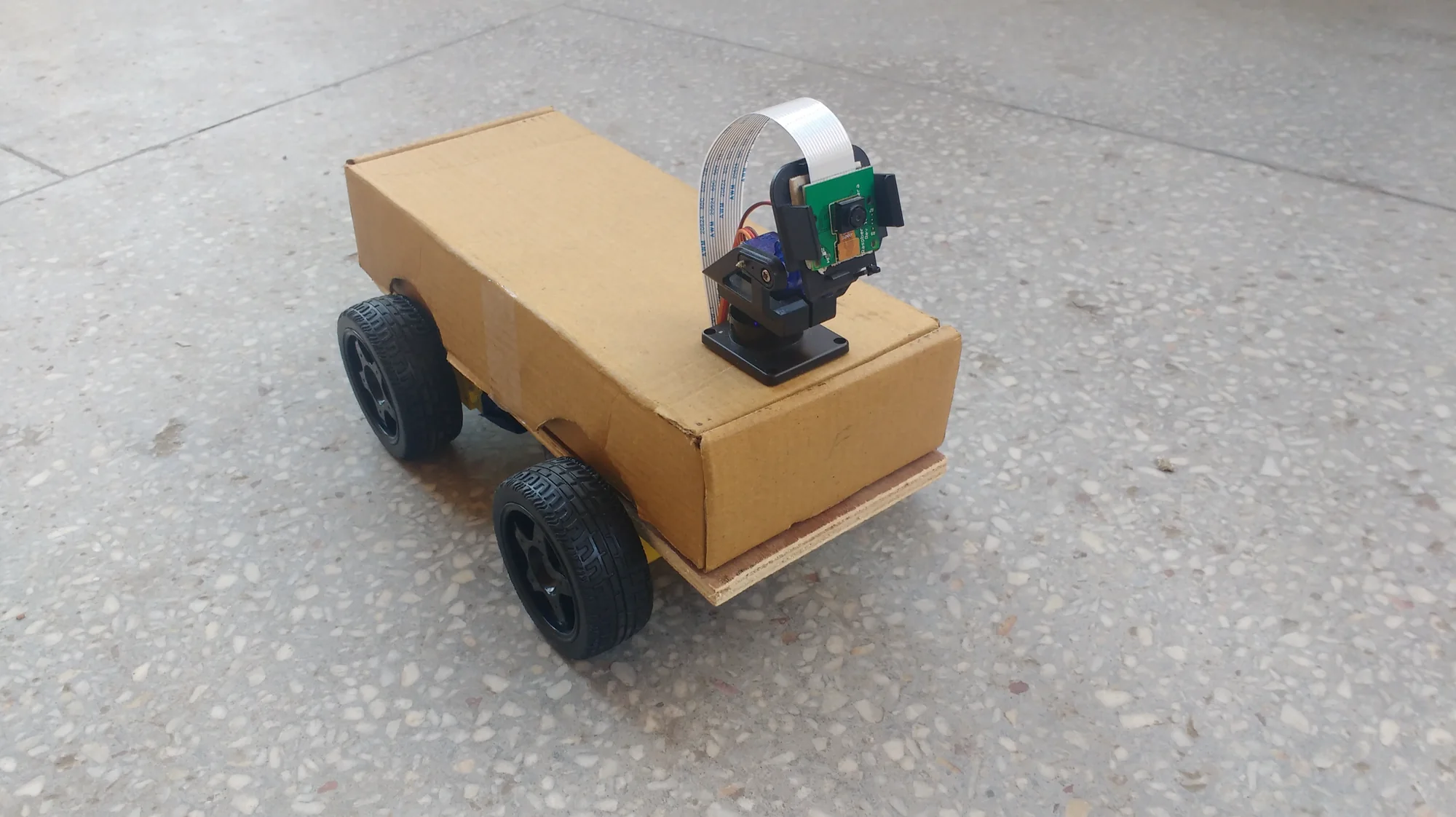 View of the bot